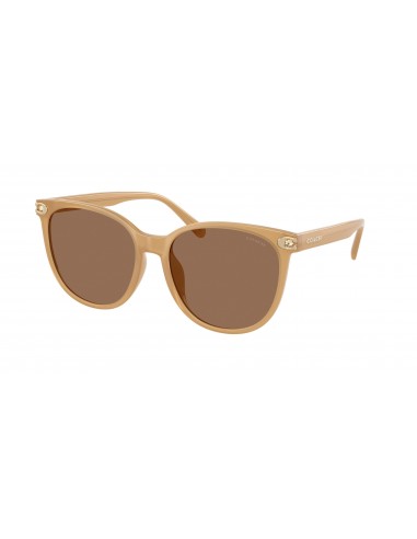 Coach Cw428 8414BD Sunglasses le des métaux précieux