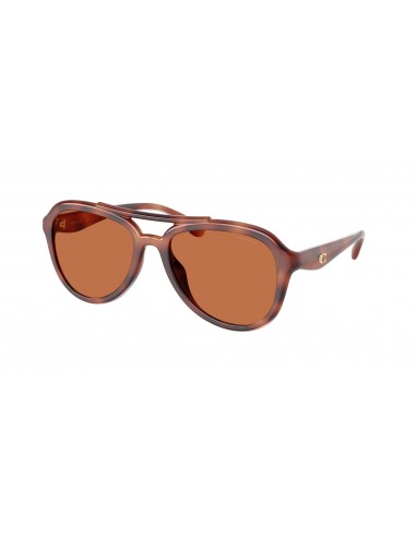 Coach Cw183 8406U Sunglasses Comparez et commandez 