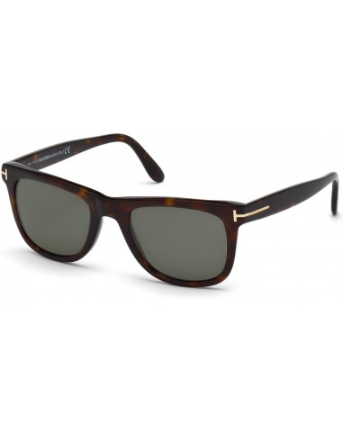 Tom Ford 0336 Sunglasses En savoir plus