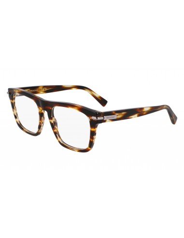 Salvatore Ferragamo SF3015 Eyeglasses hantent personnes