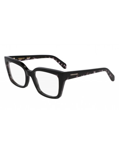 Salvatore Ferragamo SF3010 Eyeglasses de France