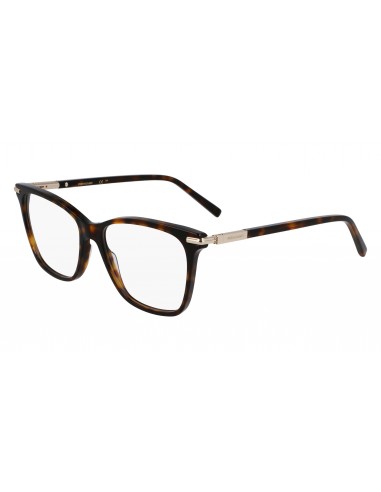 Salvatore Ferragamo SF3013 Eyeglasses Vous souhaitez 