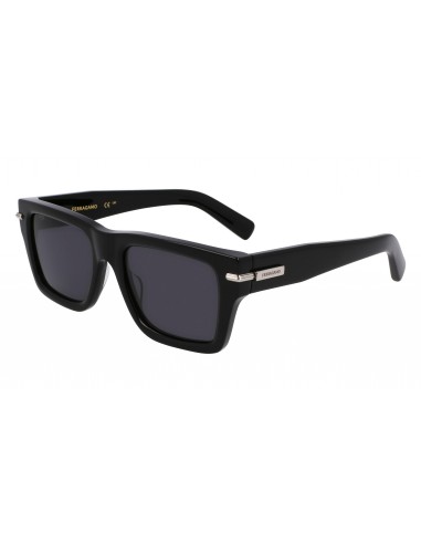 Salvatore Ferragamo SF2033S Sunglasses de la marque