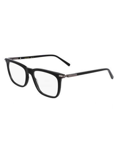 Salvatore Ferragamo SF3007 Eyeglasses les muscles