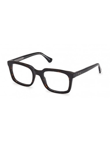 WEB 5445 Eyeglasses d'Europe débarque